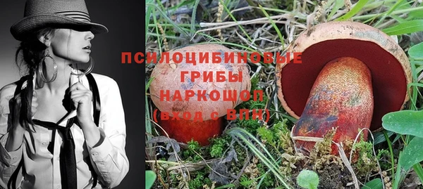 ешки Карпинск