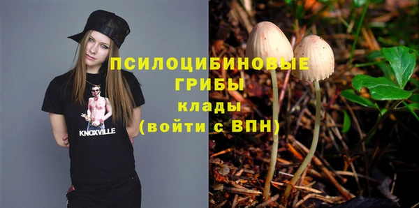 ешки Карпинск
